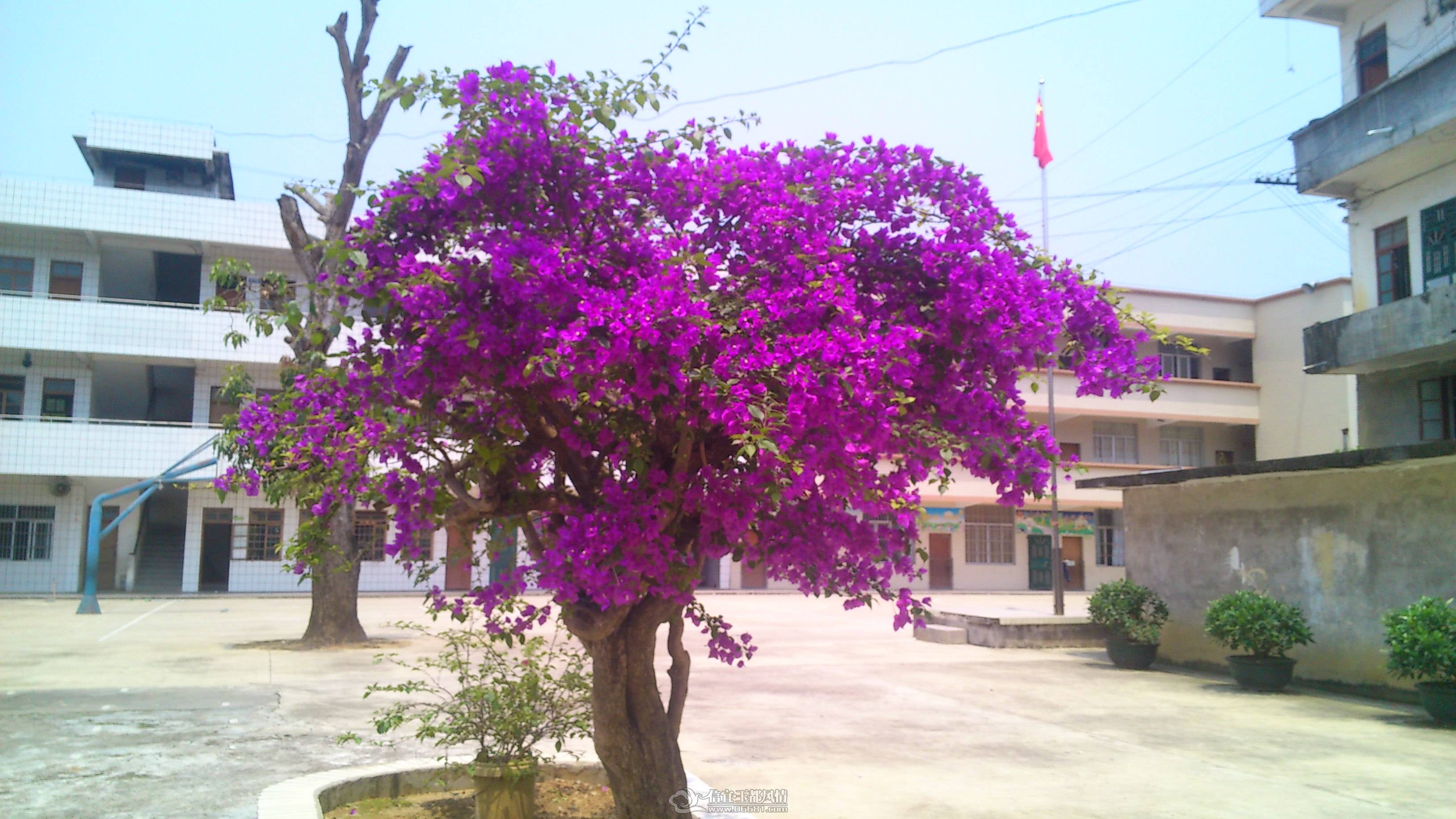 DSC_0026.JPG