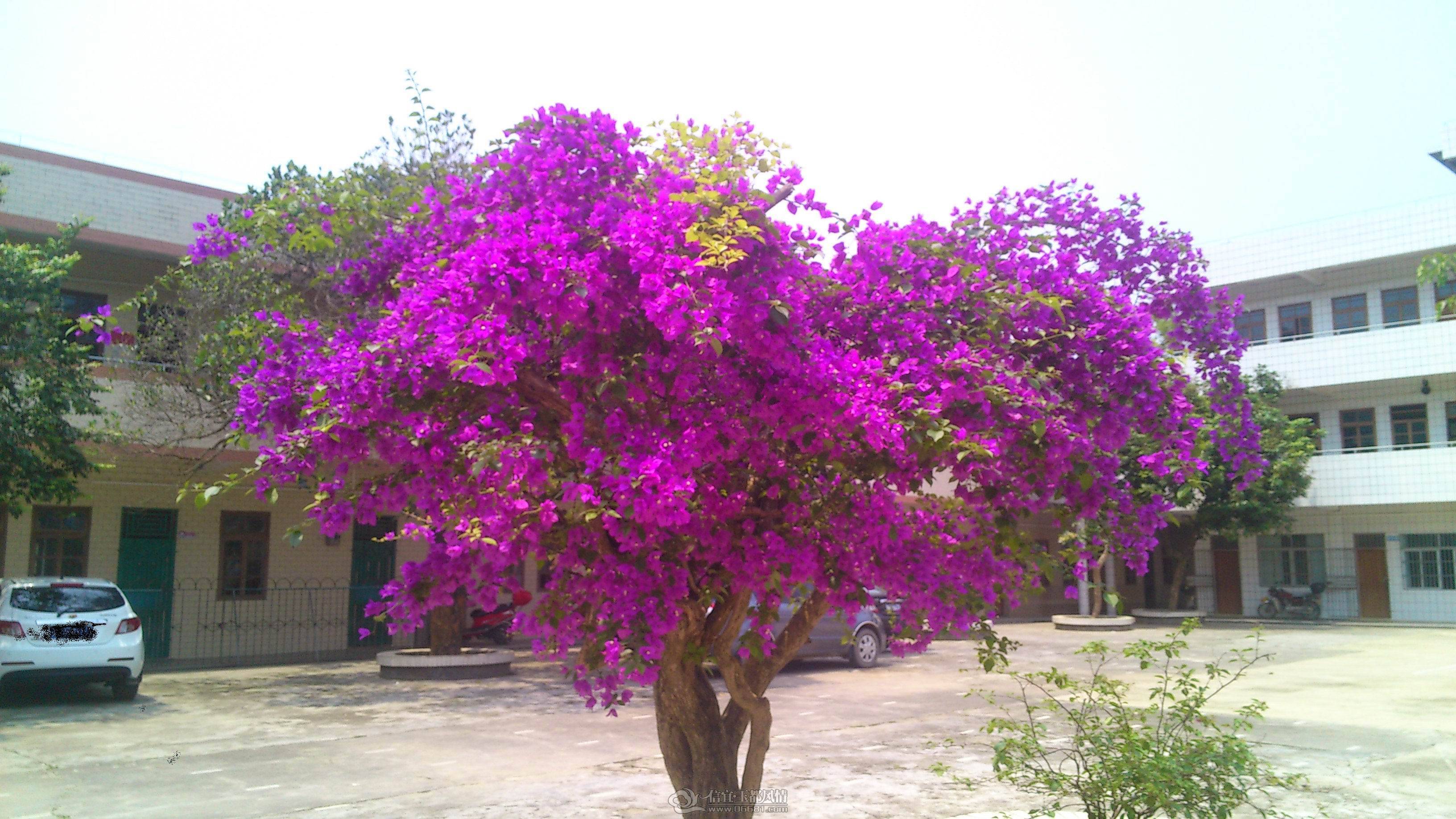 DSC_0027.JPG