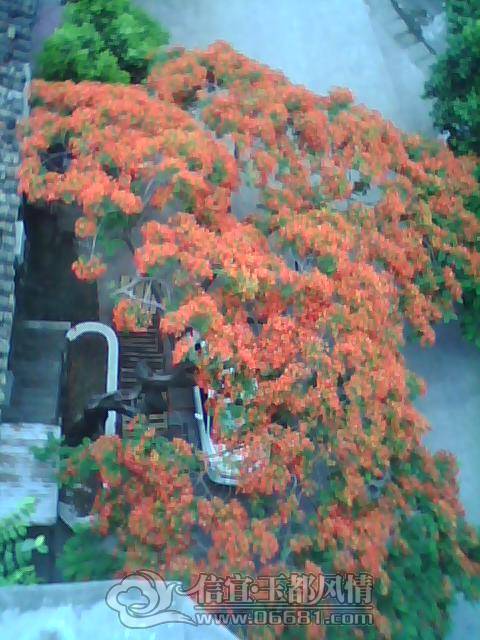 ��Ƭ2012.22 059.jpg