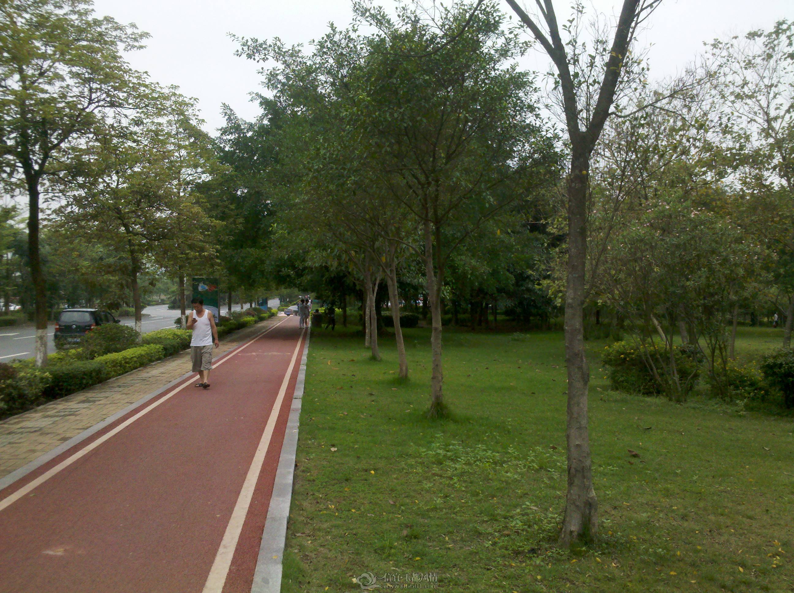 IMG_20130421_154704.jpg