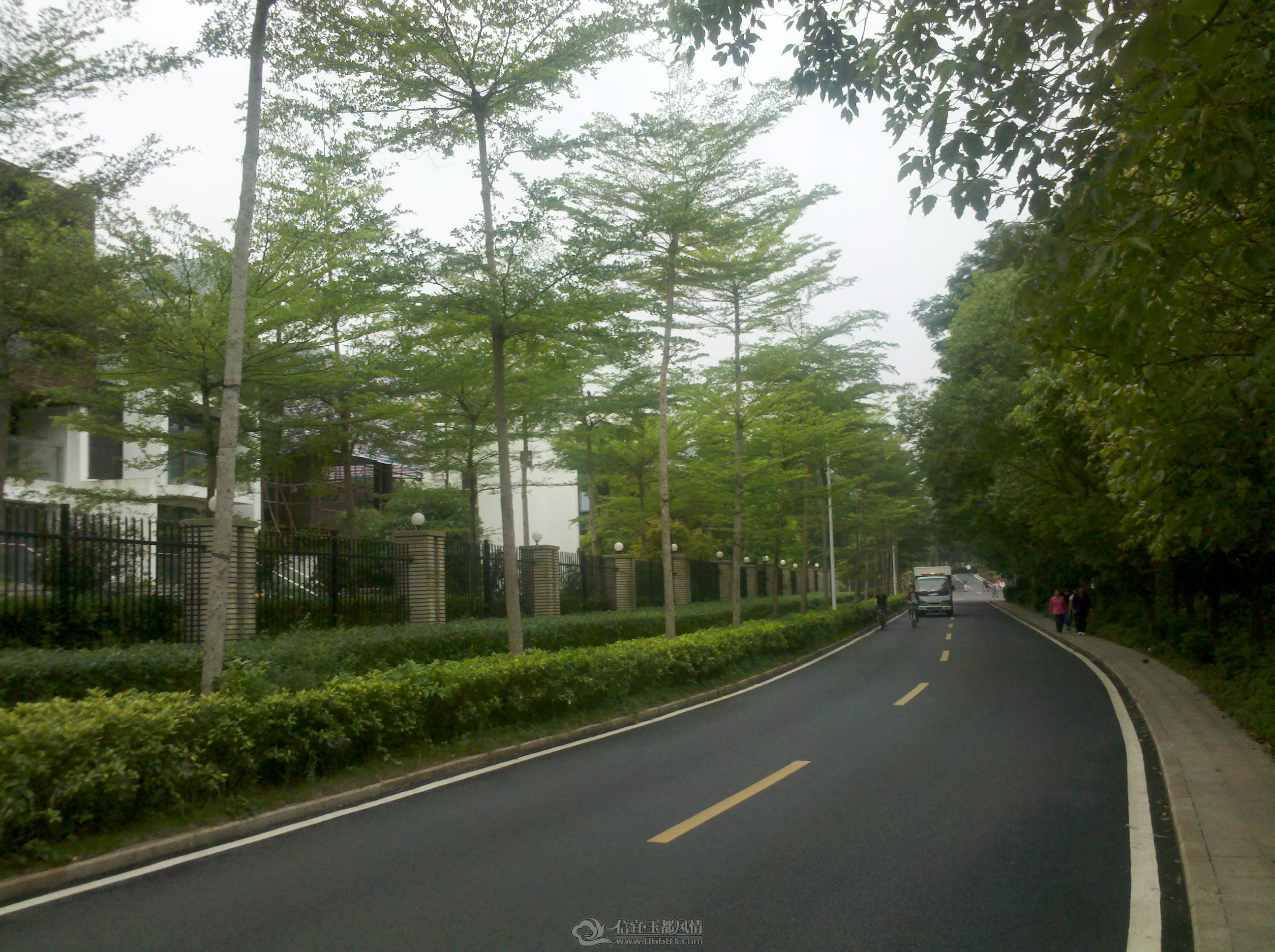 IMG_20130421_160942.jpg