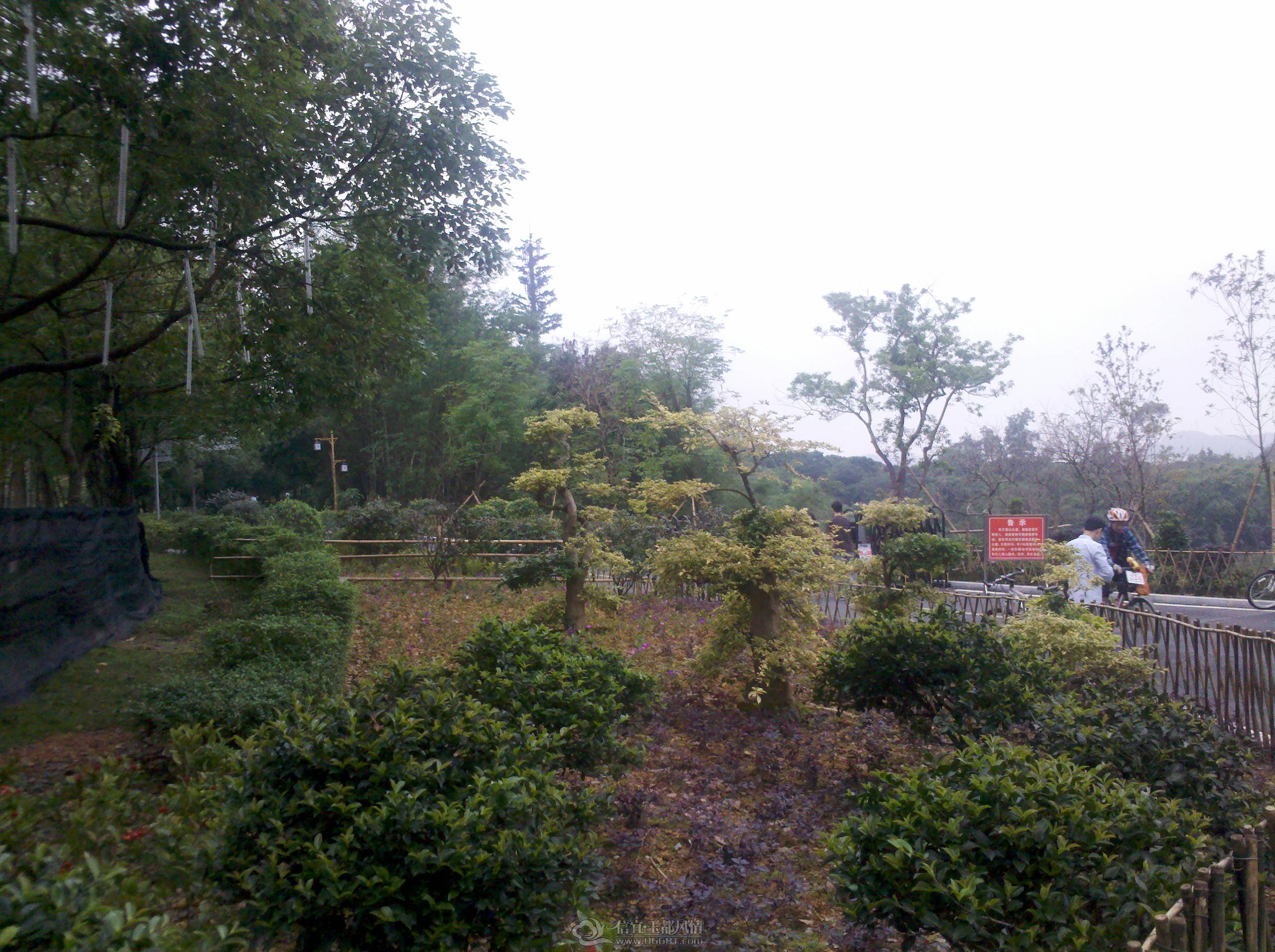 IMG_20130421_161214.jpg