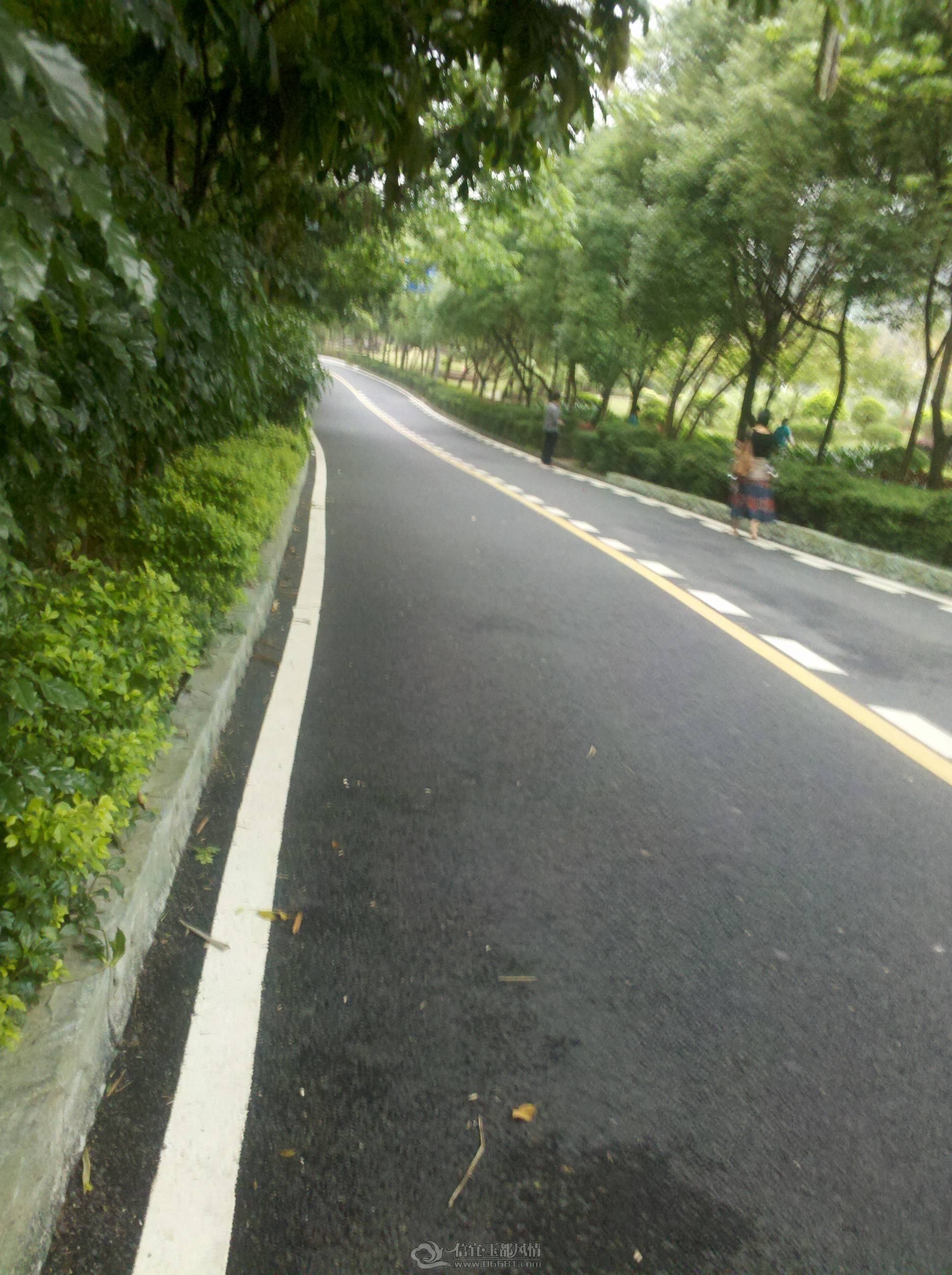 IMG_20130421_161407.jpg