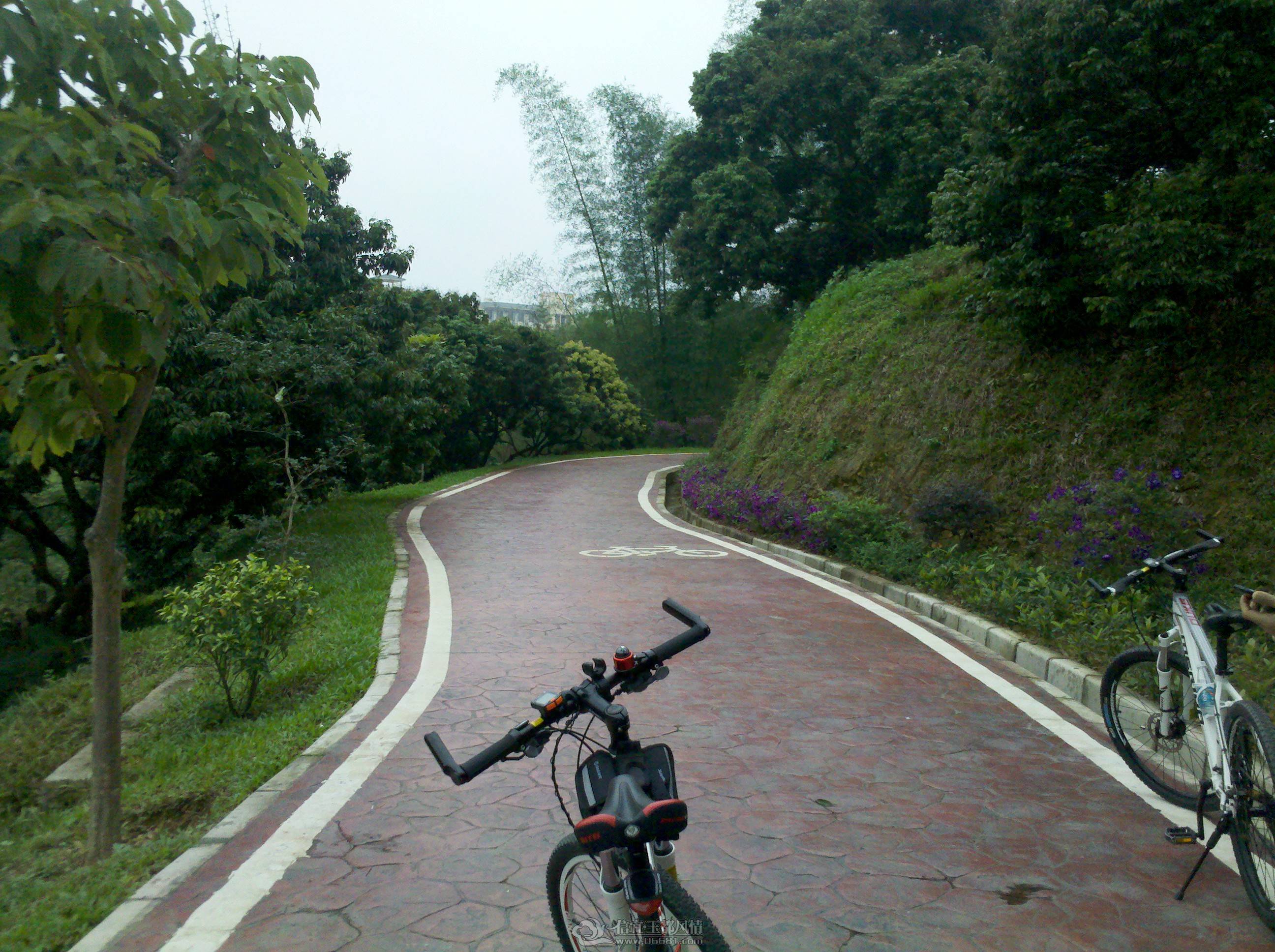IMG_20130421_162921.jpg