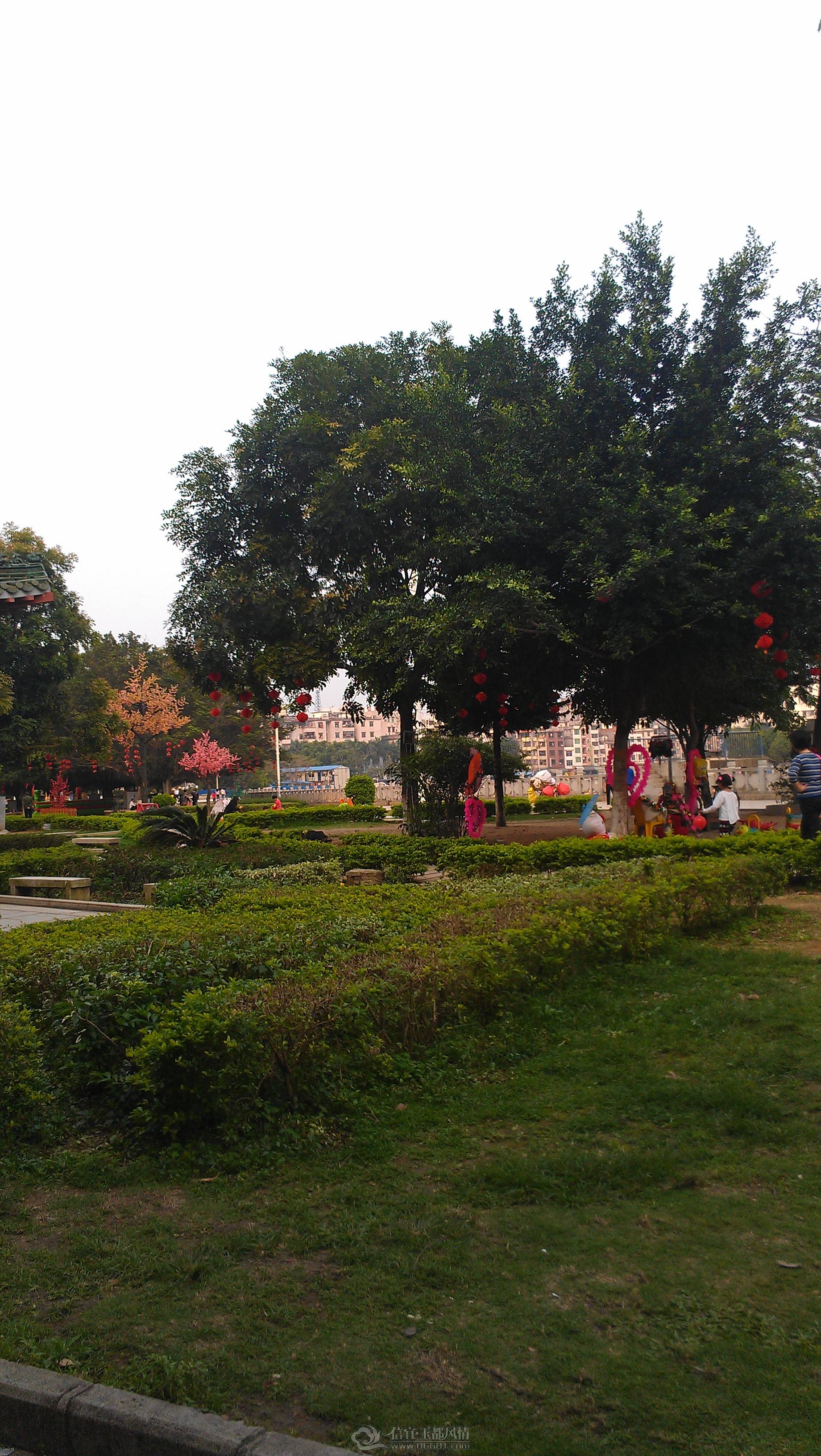 IMAG1716.jpg