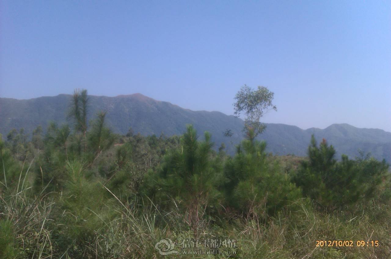 IMAG0365.jpg