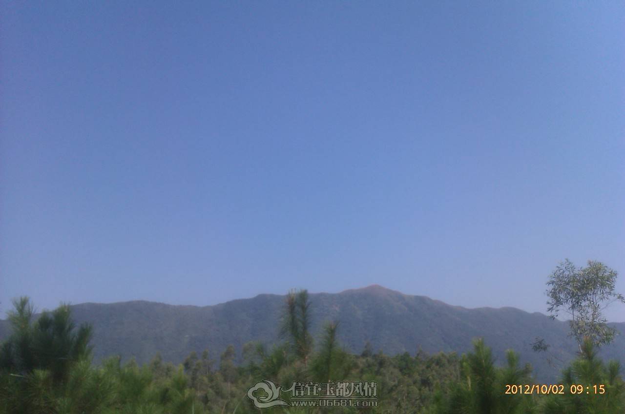 IMAG0367.jpg