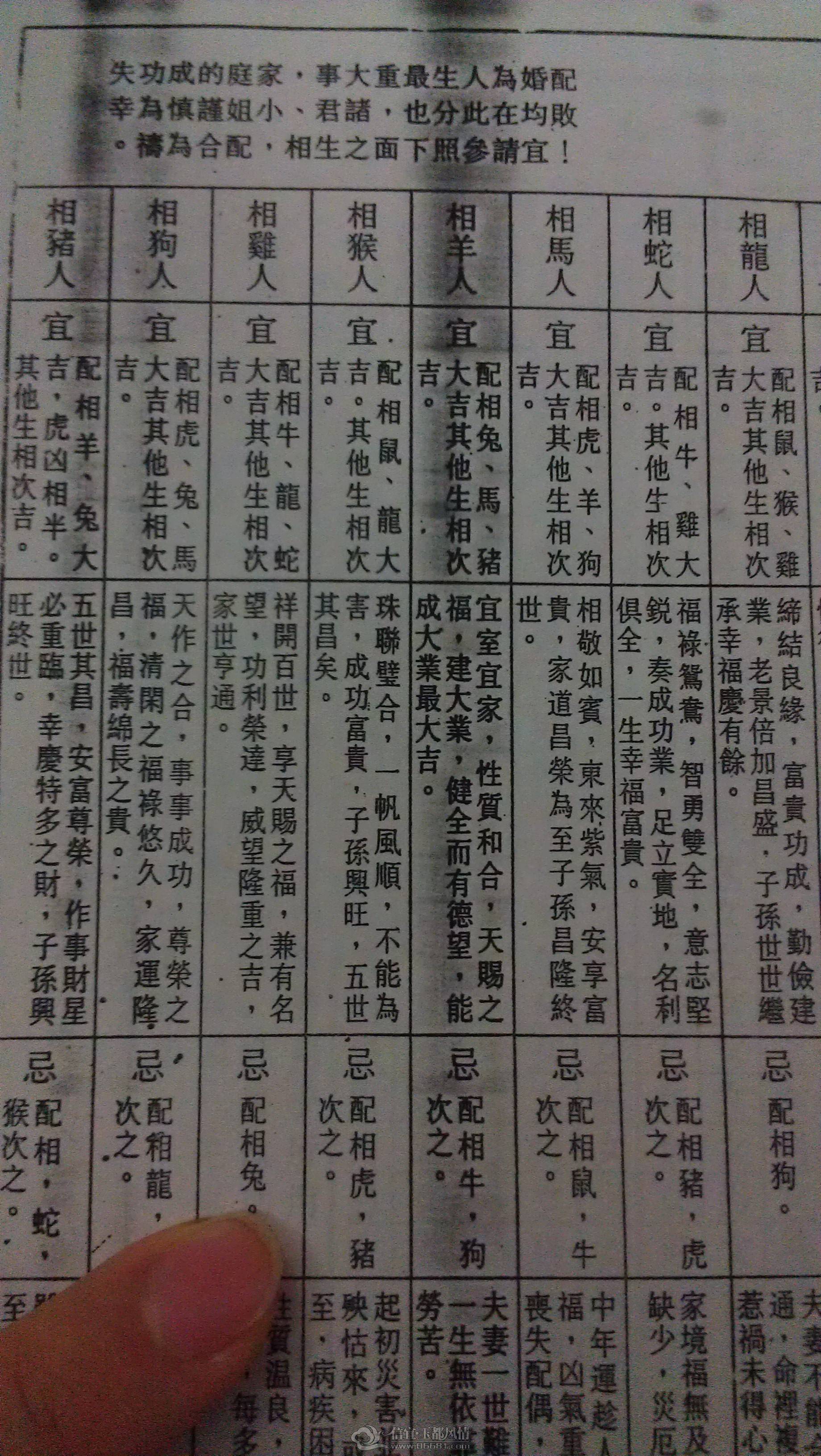 IMAG1679.jpg