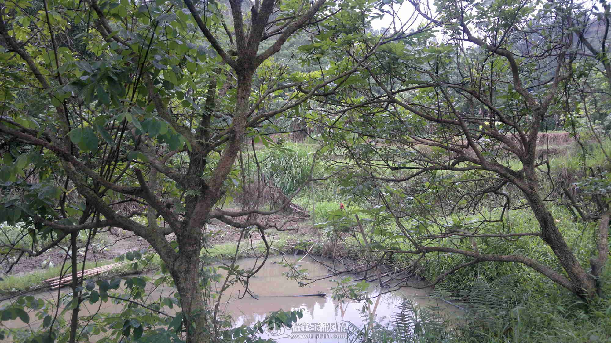 2013-04-26-297.jpg