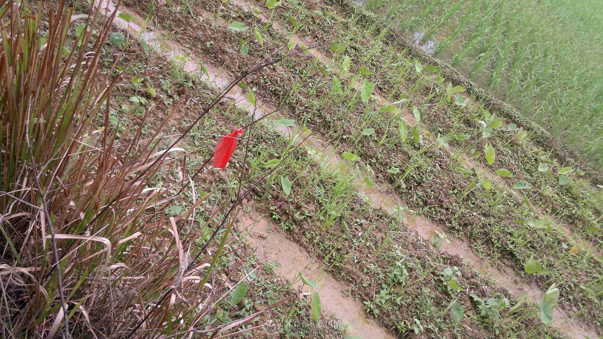 2013-04-26-307.jpg