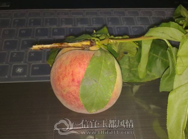 QQͼƬ20130426145725.jpg