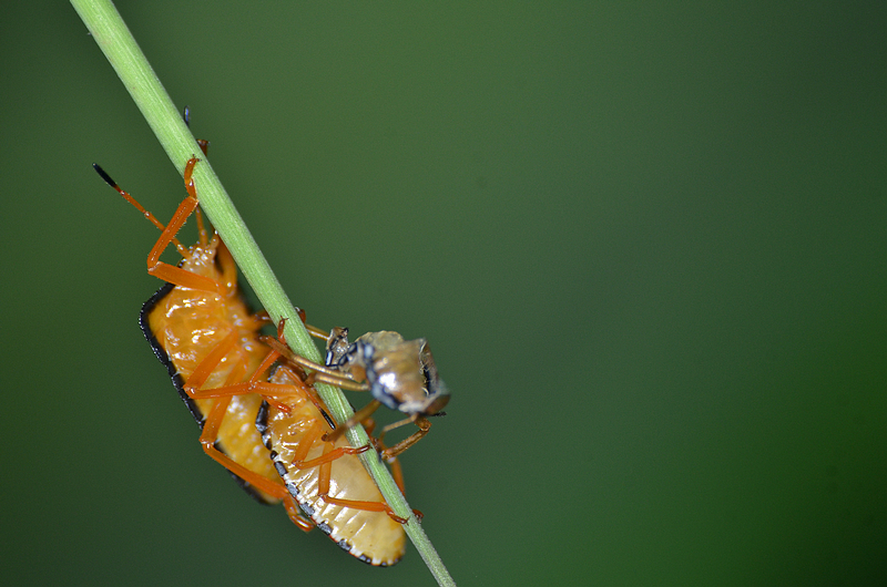 DSC_6089.jpg