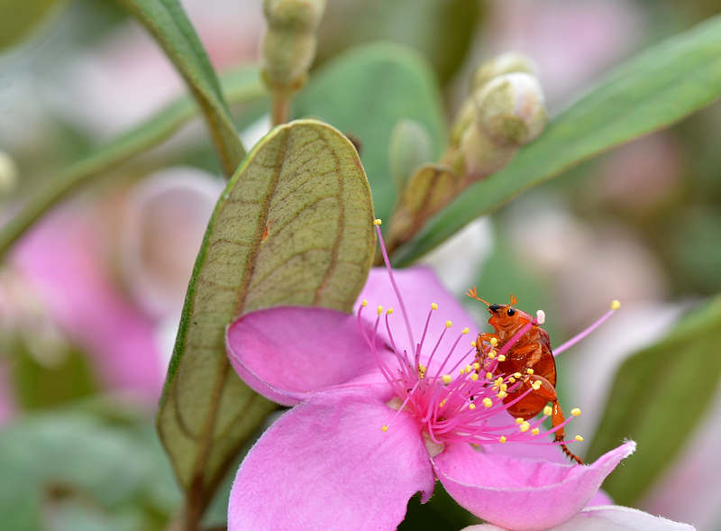 DSC_6123.jpg