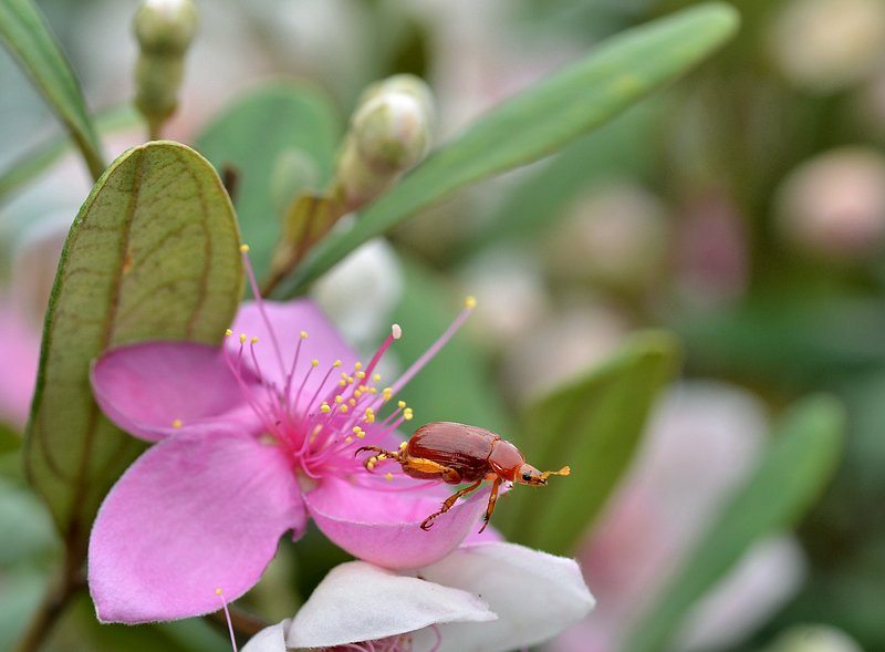 DSC_6130.jpg