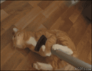 818308_81c85d804c8c73544b37d1b95c8f2097_1366284671.gif