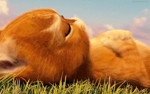 22.gif