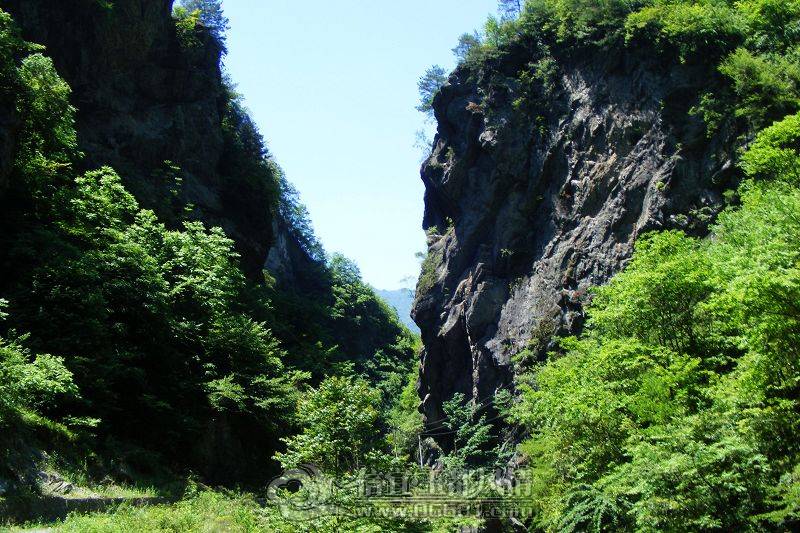 DSCF8699.JPG