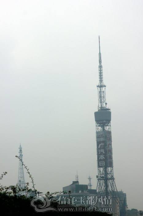 IMG_1479.JPG