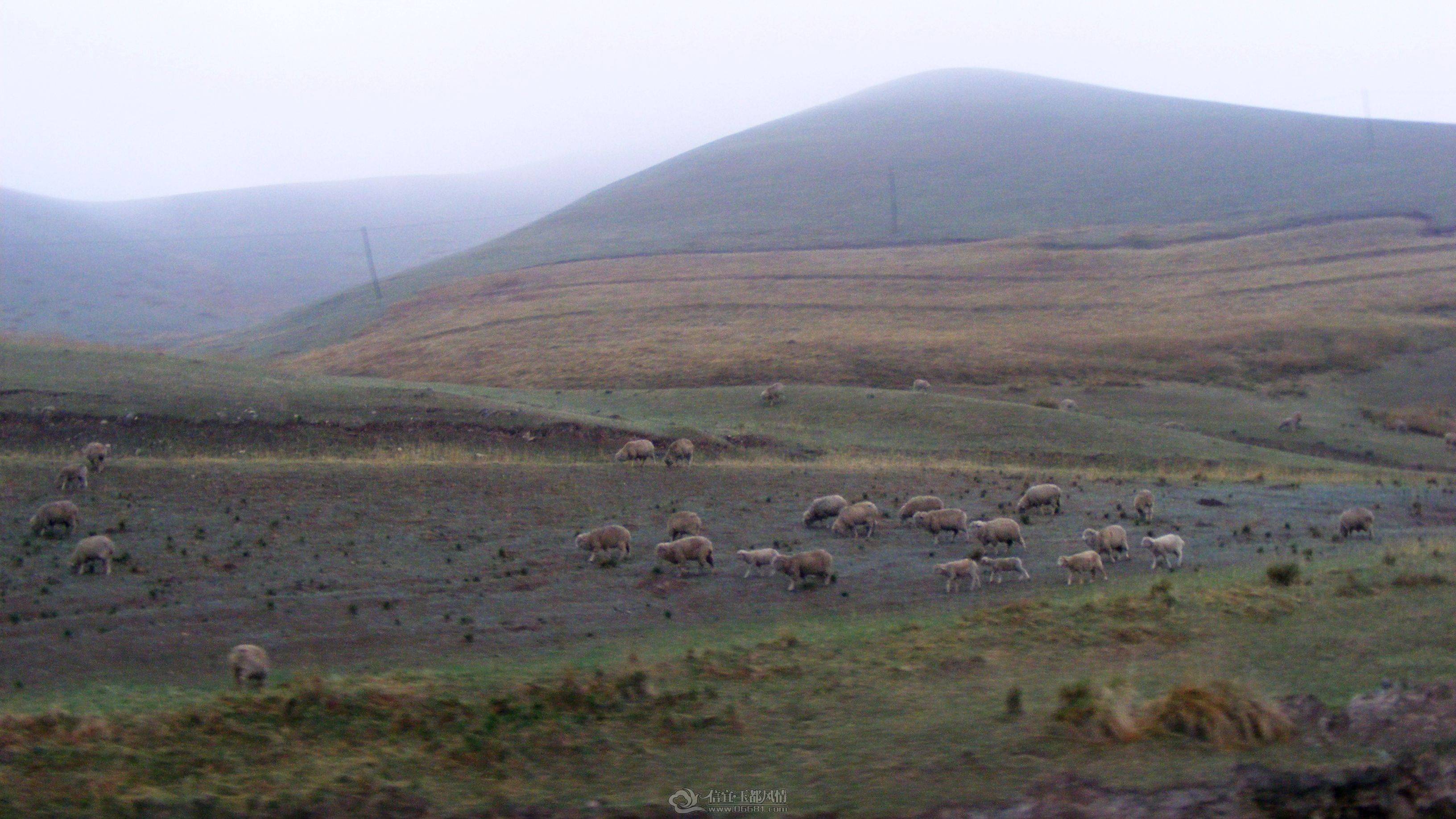 DSCF8818.JPG