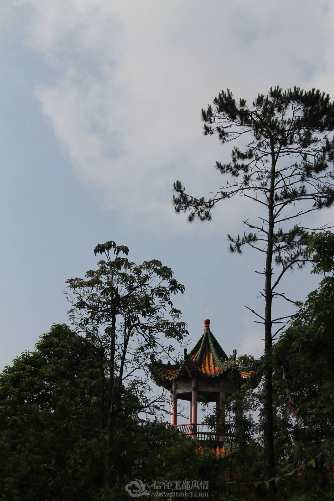 DPP_0011.JPG