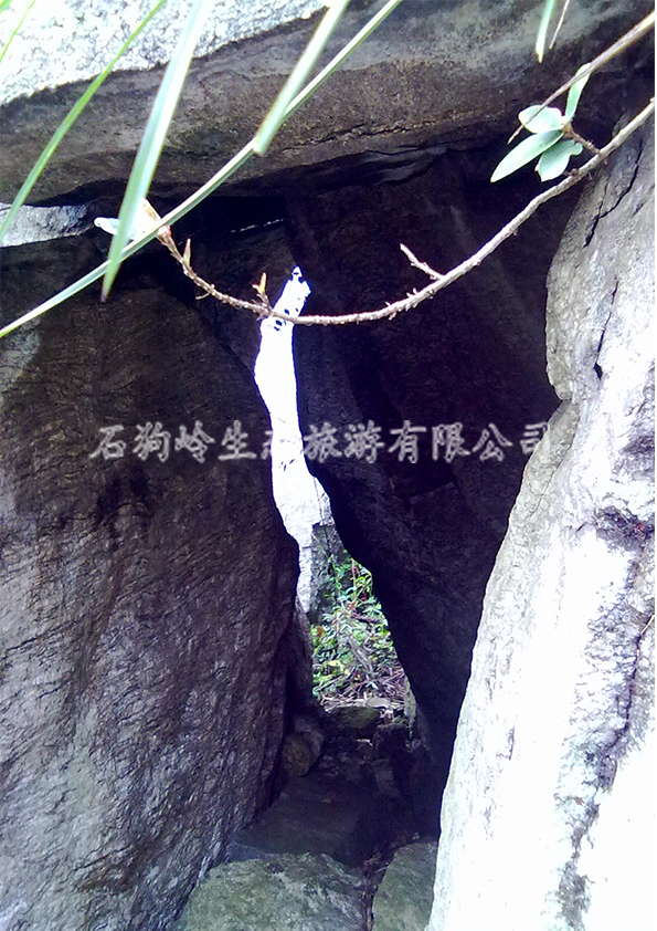 ����ʯ���롪���״�ʯ
