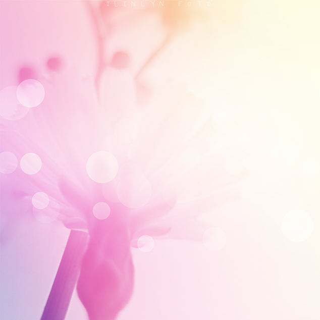 color love 2.jpg