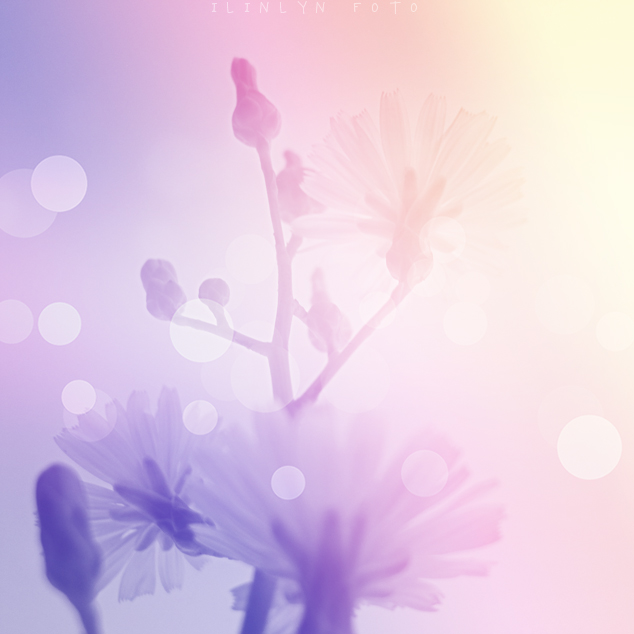 color love 3.jpg