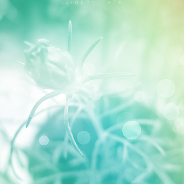 color love 4.jpg