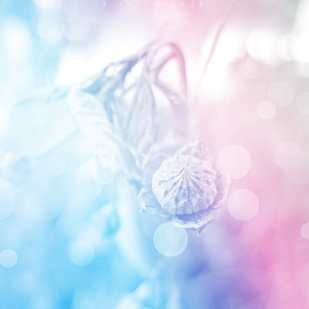 color love 8.jpg