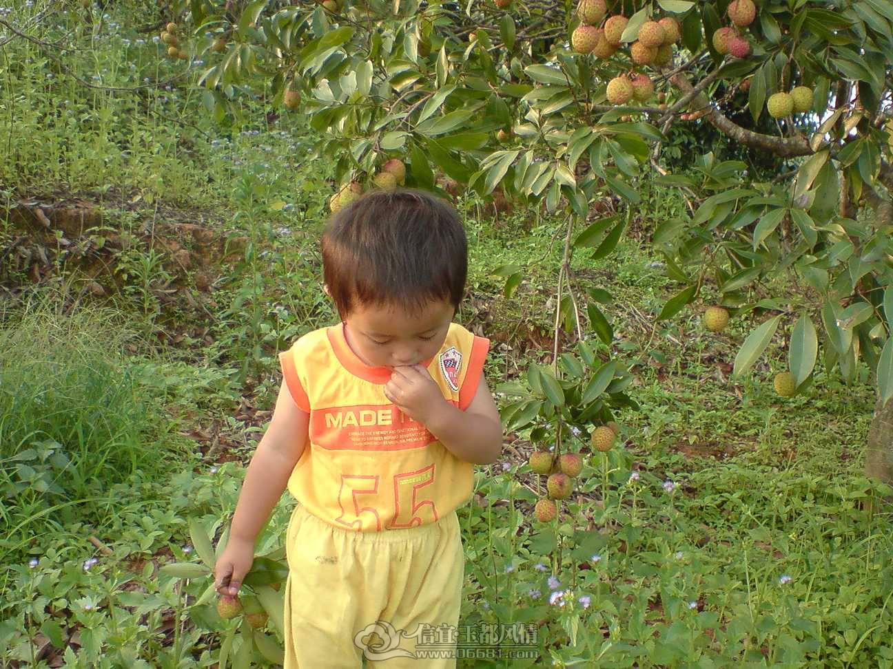 DSC00811.JPG