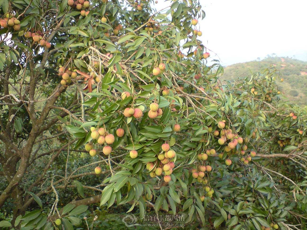 DSC00836.JPG