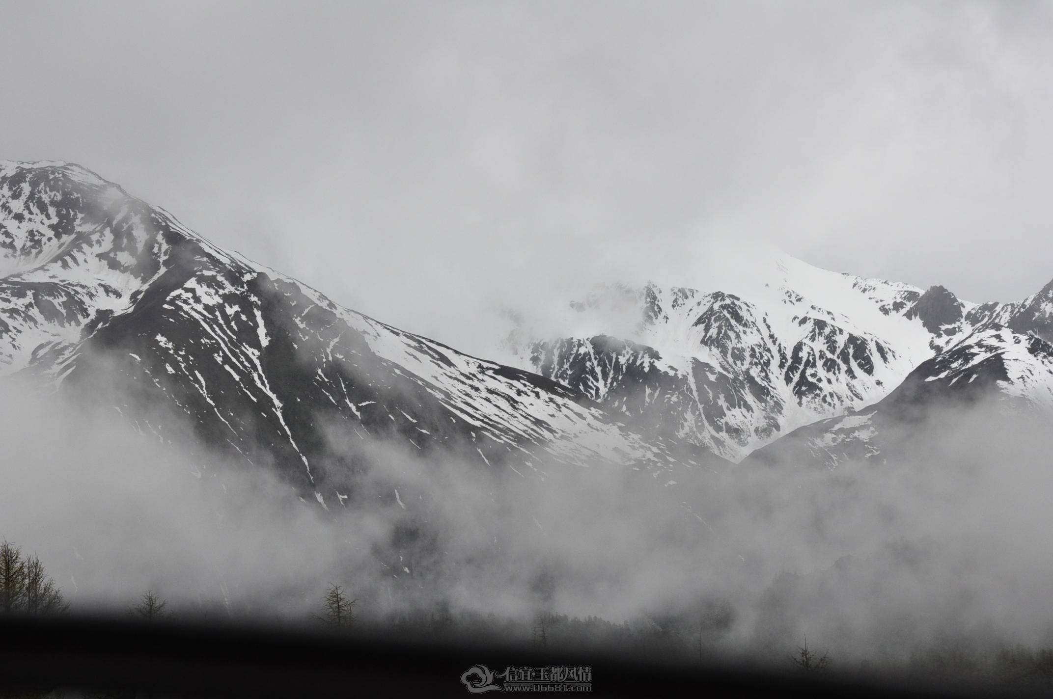 _DSC0877.JPG