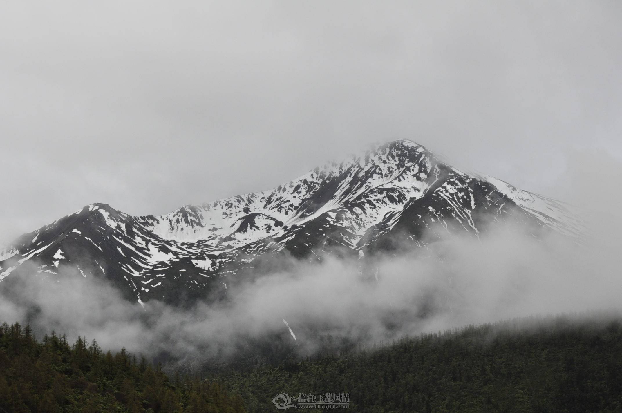 _DSC0925.JPG
