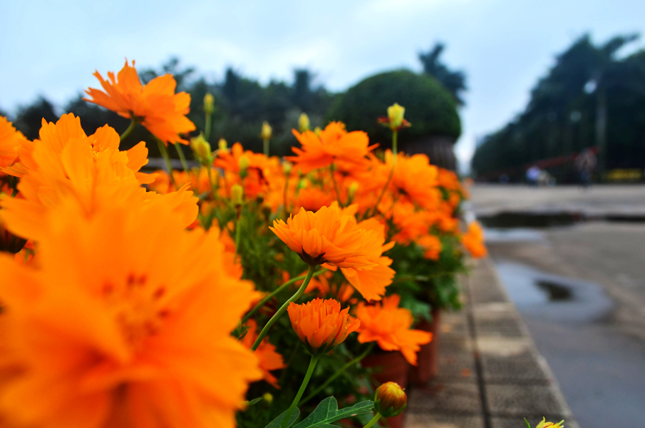 DSC_0438_����.jpeg