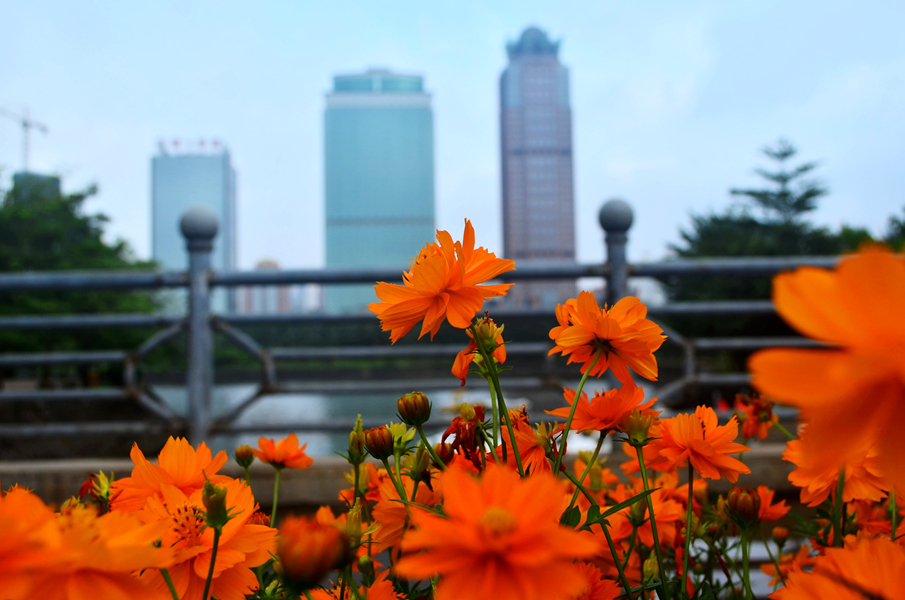 DSC_0440_����.jpeg