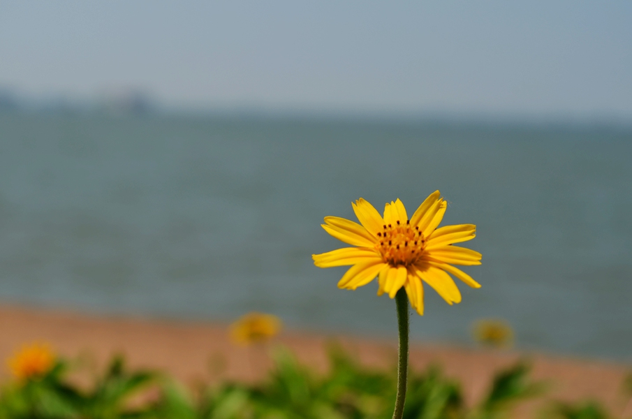 DSC_0434.JPG