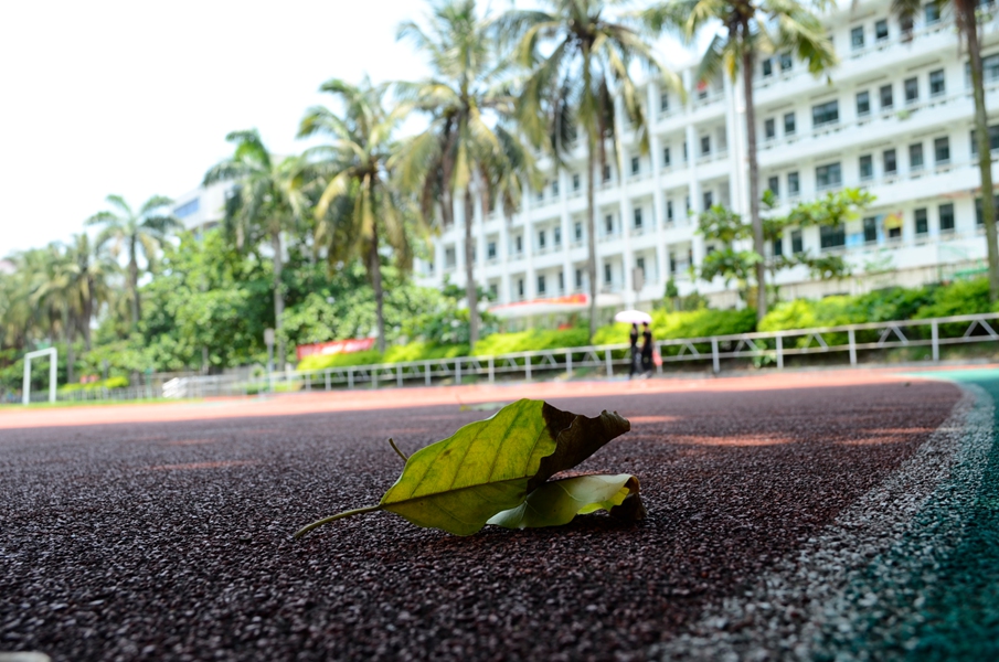 _DSC0799.JPG