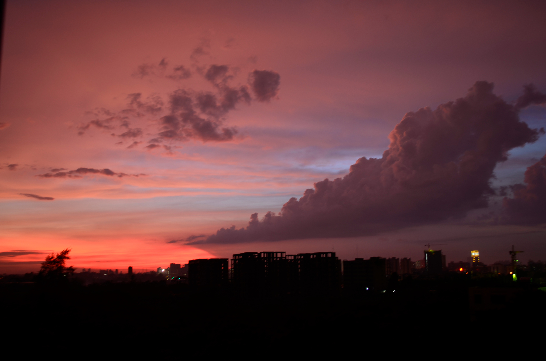 _DSC1007.JPG