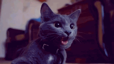 6d135abbjw1e4zkr23ku3g20b40691ii.gif