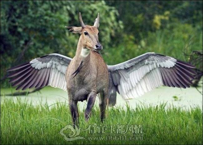 kadr011[1].jpg