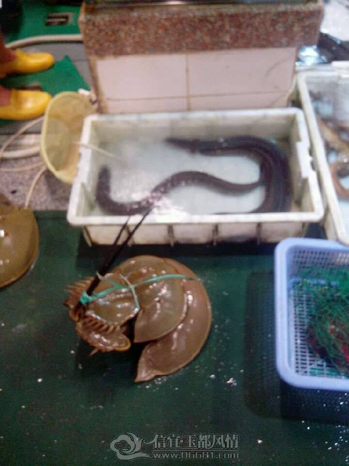 QQͼƬ20130529001041.jpg