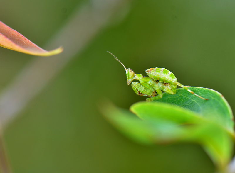 DSC_6298.jpg