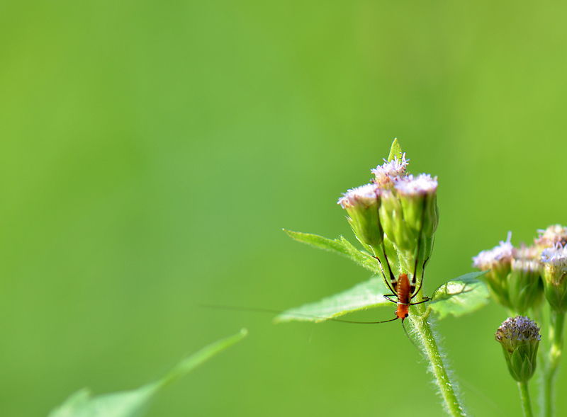 DSC_6463.jpg