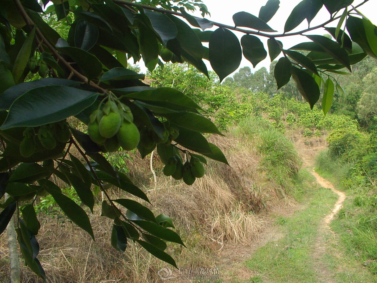 IMGP3848.JPG