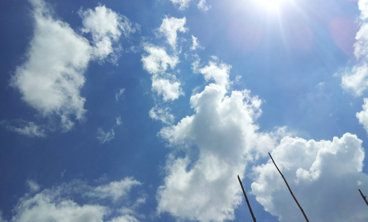 20130530_110428_����1.jpg