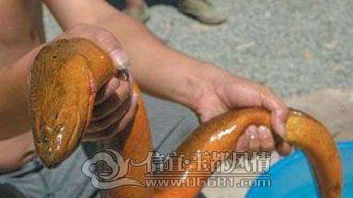 aa4136d17505492s_13fb767cdd8g85_blog.jpg