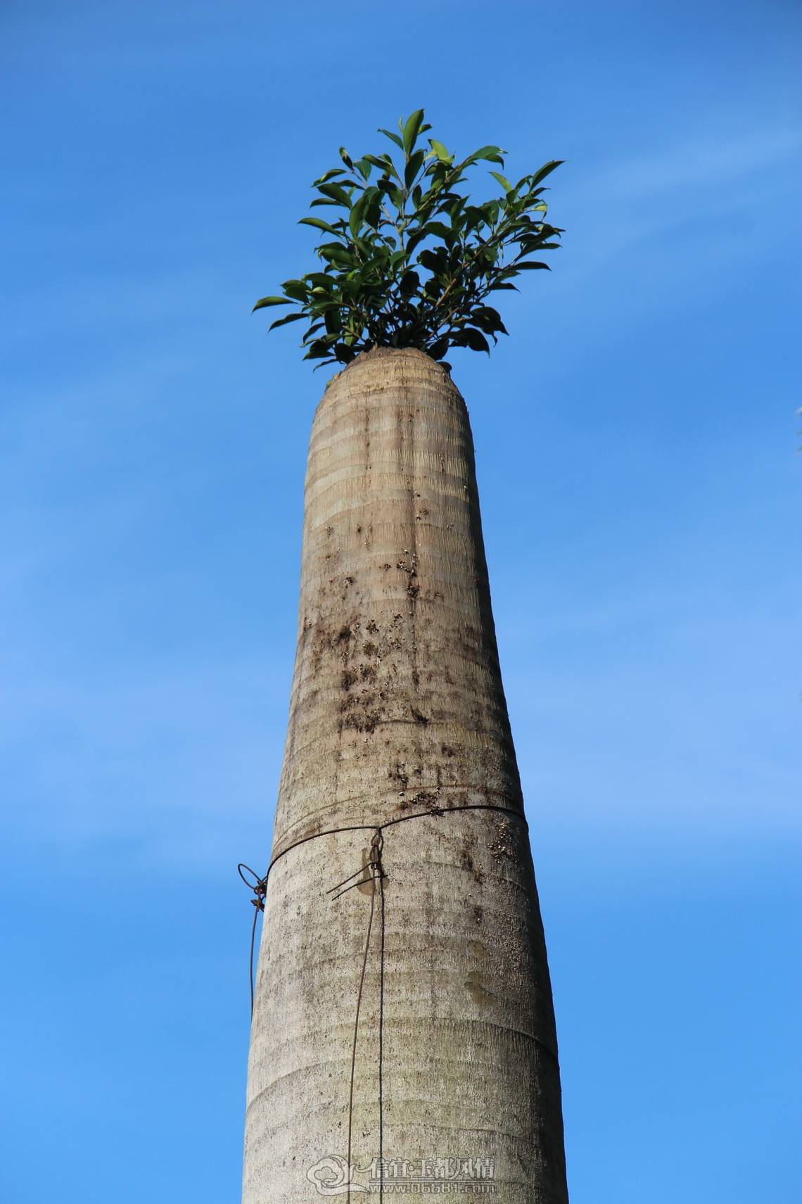 IMG_9585=.jpg