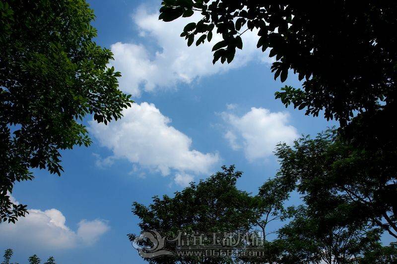 QQͼƬ20130602020454.jpg
