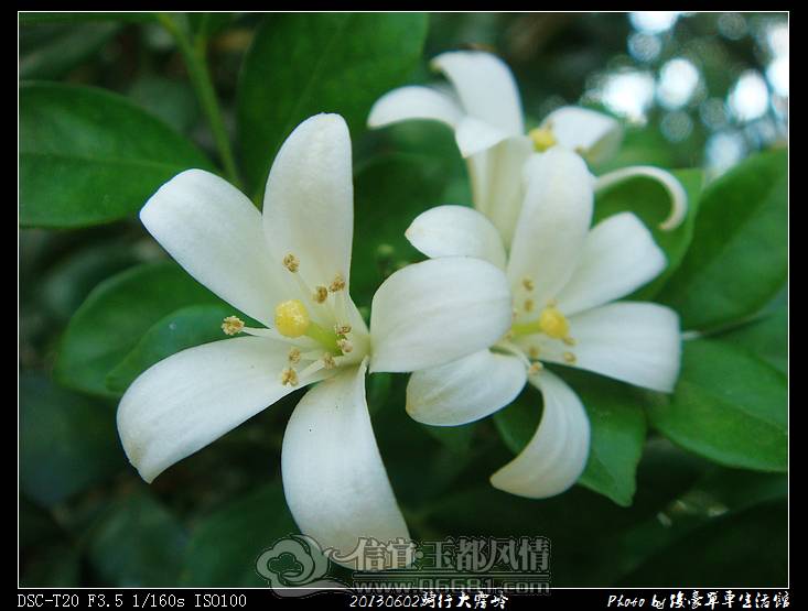 20130602���д�����017.jpg