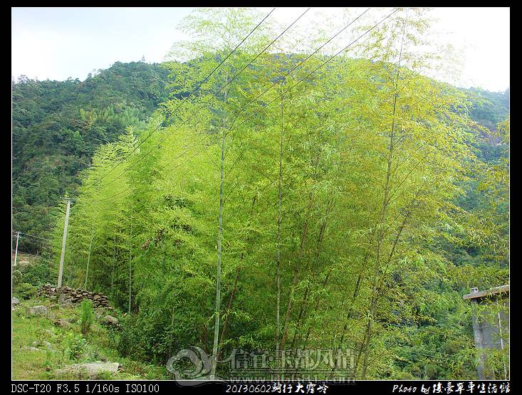 20130602���д�����115.jpg